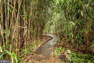 1 E Brookhaven Rd, Wallingford, PA 19086 - Photo 48