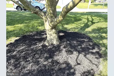 2613 Caranel Road, Broomall, PA 19008 - Photo 4