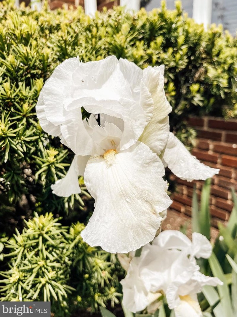 65 Norland Ave, Chambersburg PA  17201-1217 exterior