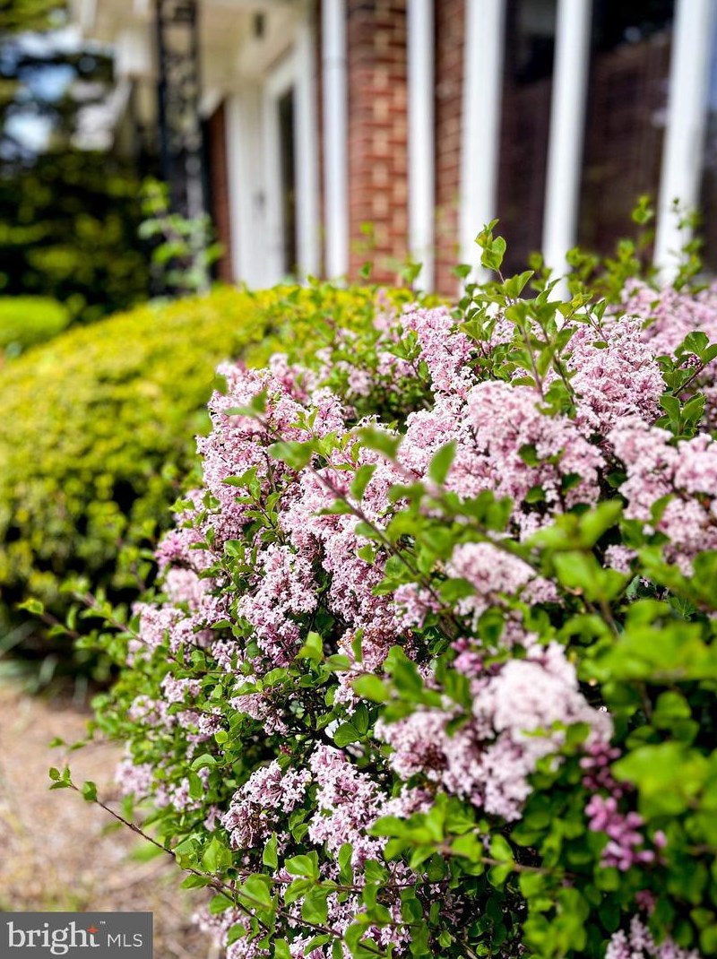 65 Norland Ave, Chambersburg PA  17201-1217 exterior