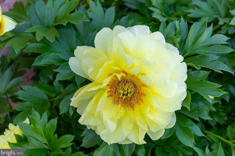 15 Jackson Dr, Chambersburg PA  17201-8962 exterior