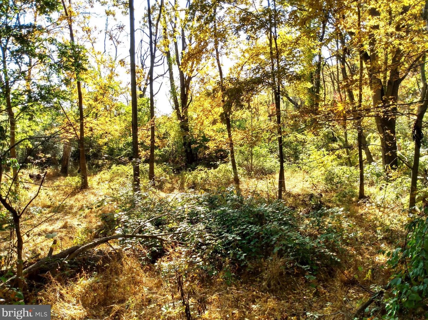 676 Siloam Rd, Chambersburg PA  17201-7809 exterior