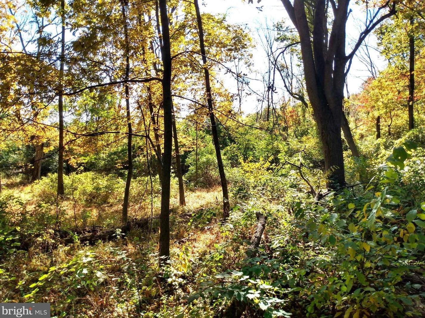 676 Siloam Rd, Chambersburg PA  17201-7809 exterior