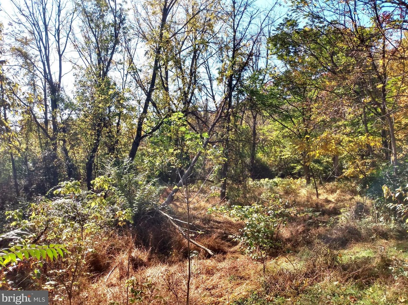 676 Siloam Rd, Chambersburg PA  17201-7809 exterior