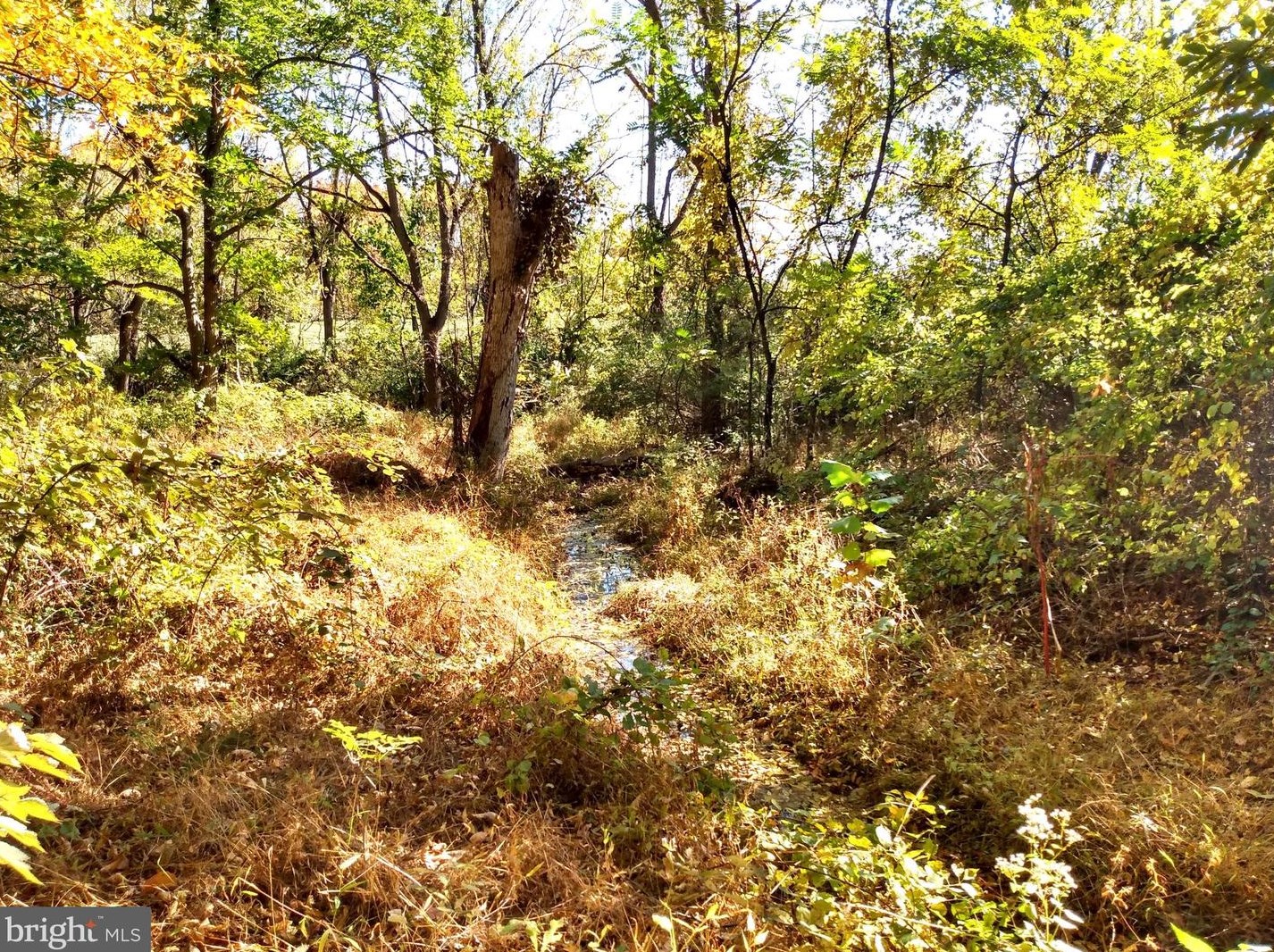 676 Siloam Rd, Chambersburg PA  17201-7809 exterior