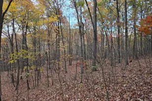 8620 Monns Gap Rd, Waynesboro, PA 17268 - Photo 68