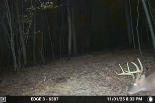 8620 Monns Gap Rd, Waynesboro, PA 17268 - Photo 76