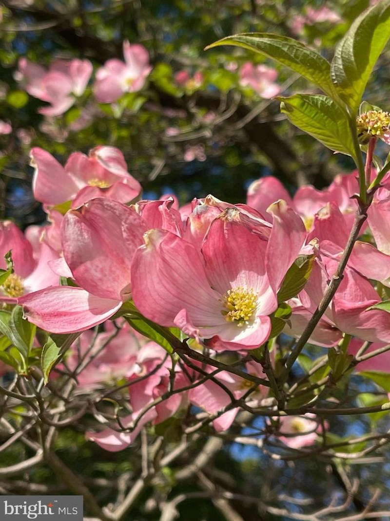 5975 Leebel Rd, East Petersburg PA  17520-1512 exterior