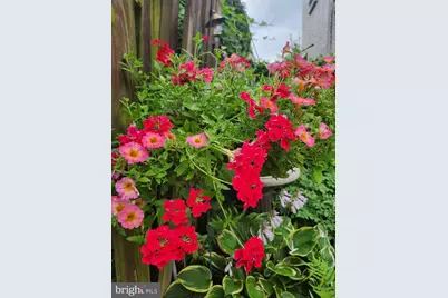 37 N Charlotte Street, Lancaster, PA 17603 - Photo 52