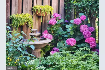 37 N Charlotte Street, Lancaster, PA 17603 - Photo 38