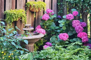 37 N Charlotte St, Lancaster, PA 17603 - Photo 38