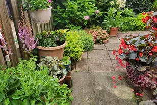 37 N Charlotte St, Lancaster, PA 17603 - Photo 58