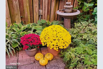 37 N Charlotte Street, Lancaster, PA 17603 - Photo 92