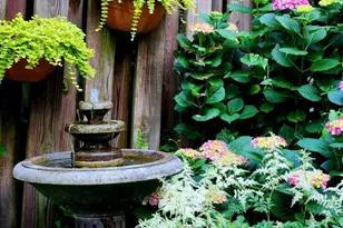 37 N Charlotte St, Lancaster, PA 17603 - Photo 36