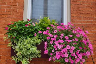 37 N Charlotte St, Lancaster, PA 17603 - Photo 62