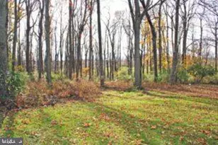 141 Nottingham Rd, Nottingham, PA 19362 - Photo 12