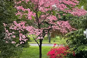 318 N President Ave, Lancaster, PA 17603 - Photo 52