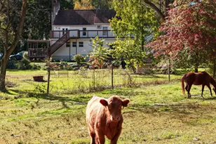 3371 Mathews Ln, Alburtis, PA 18011 - Photo 110