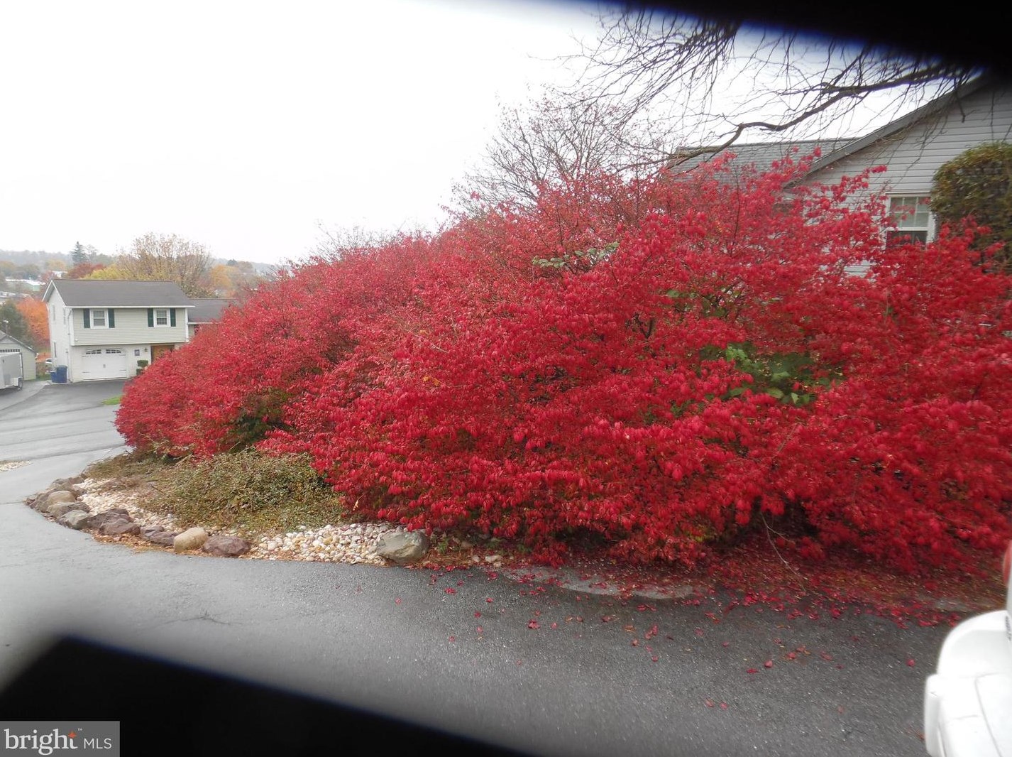 230 Swatara Cir, Bordnersville PA  17038-9729 exterior