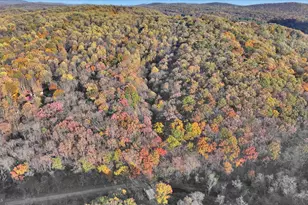 364 Michters Rd, Newmanstown, PA 17073 - Photo 2