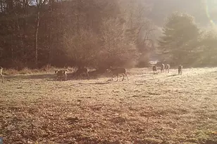 228 Huntington Creek, Sweet Valley, PA 18656 - Photo 112