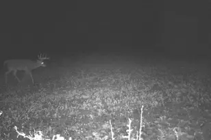 228 Huntington Creek, Sweet Valley, PA 18656 - Photo 92