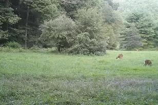 228 Huntington Creek, Sweet Valley, PA 18656 - Photo 104