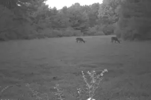 228 Huntington Creek, Sweet Valley, PA 18656 - Photo 102