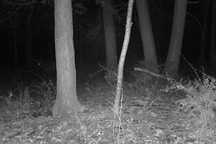 228 Huntington Creek, Sweet Valley, PA 18656 - Photo 128