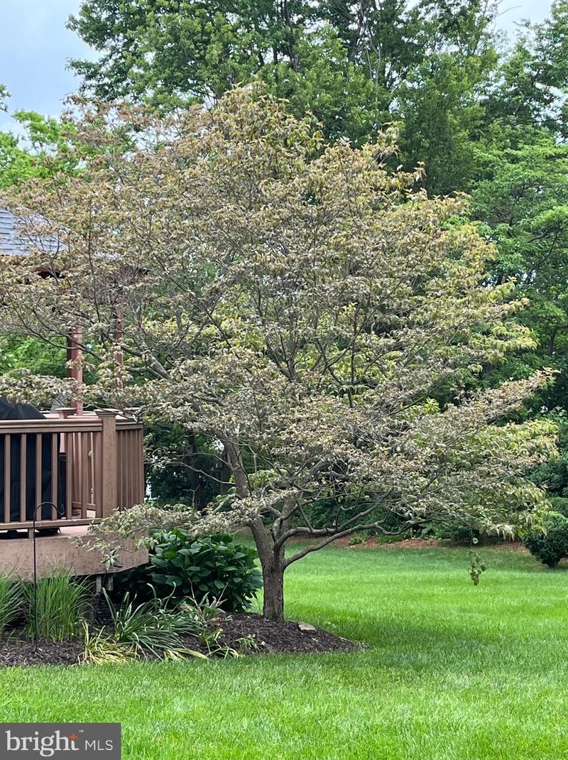 113 Samantha Ln, Lansdale, PA 19446