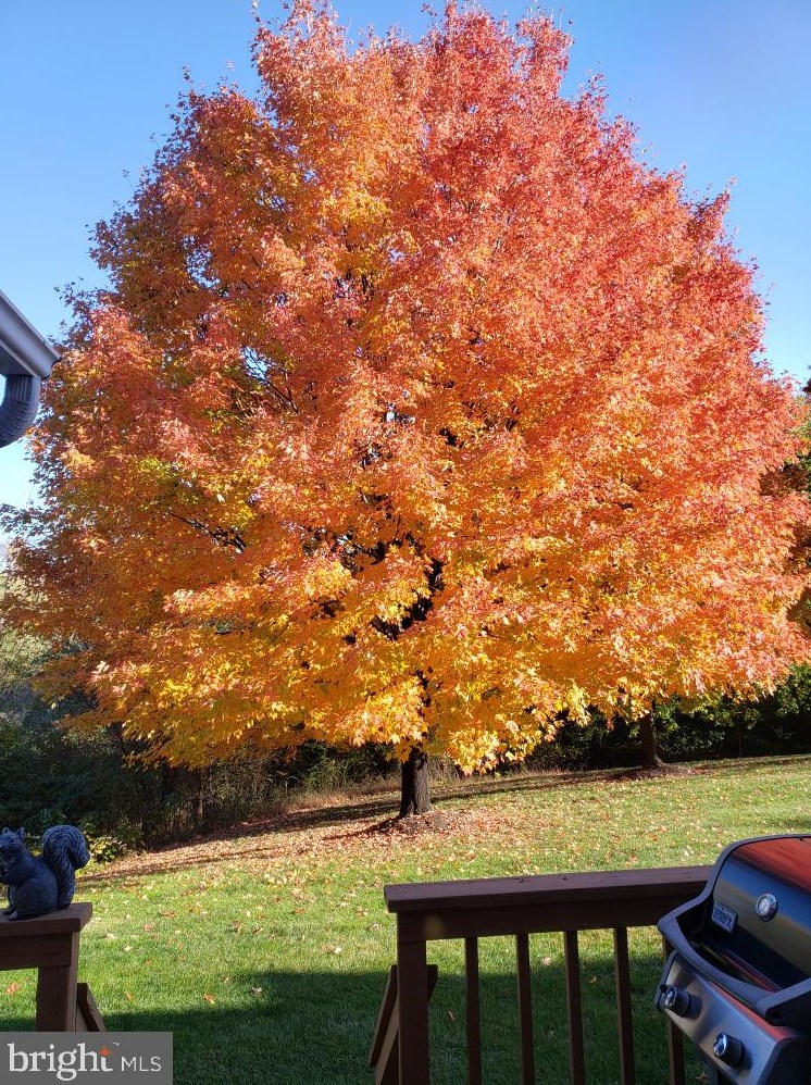 208 Filly Dr, North Wales PA  19454-4299 exterior