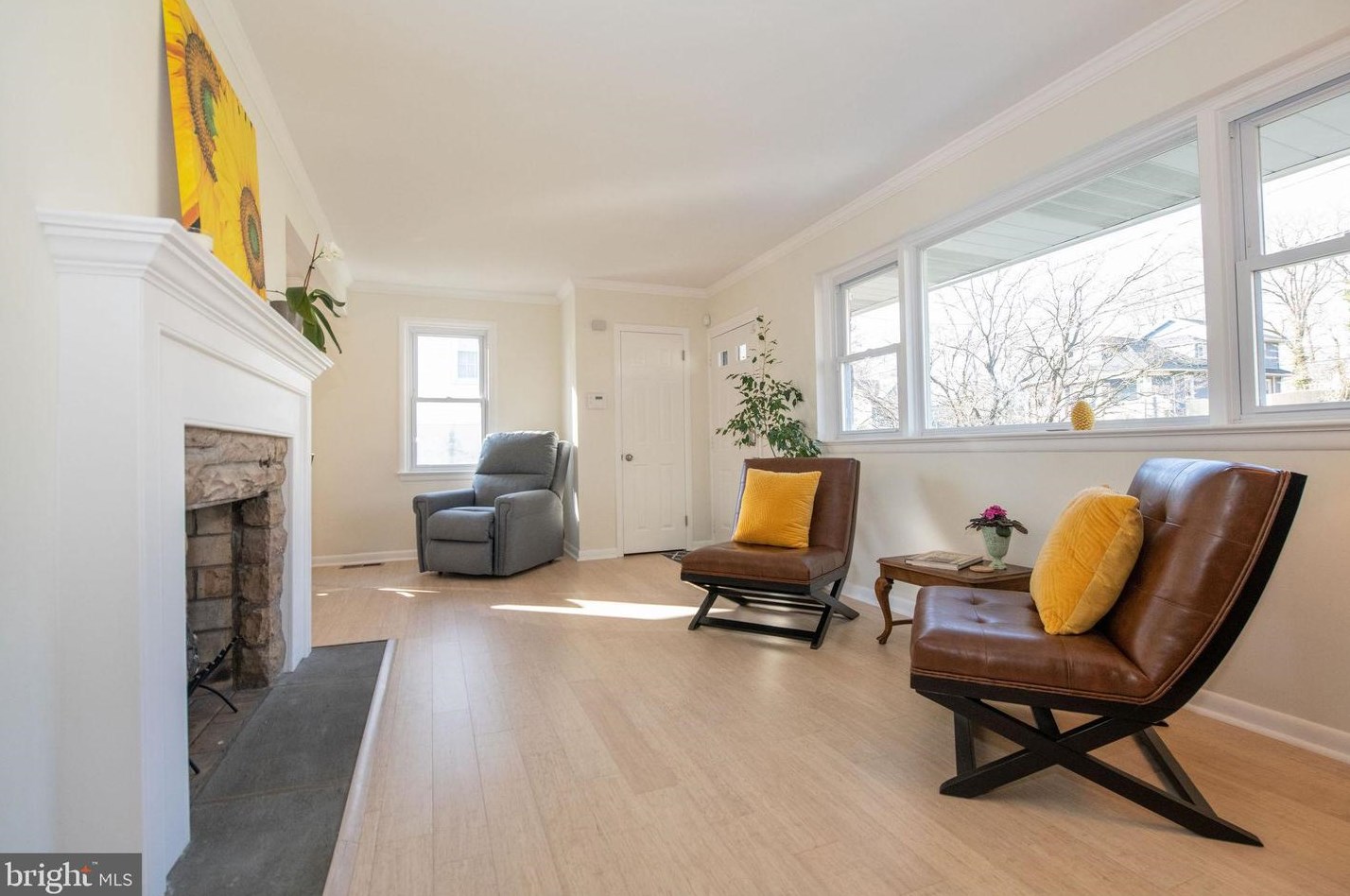 241 Limekiln Pike, Ardsley PA  19038-3319 exterior