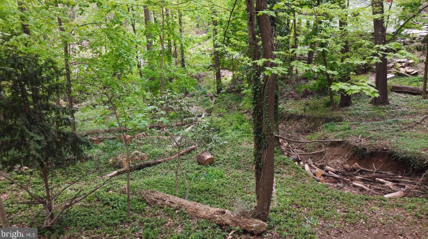 819 Pardee Ln, Wyncote PA 19095-1609 exterior