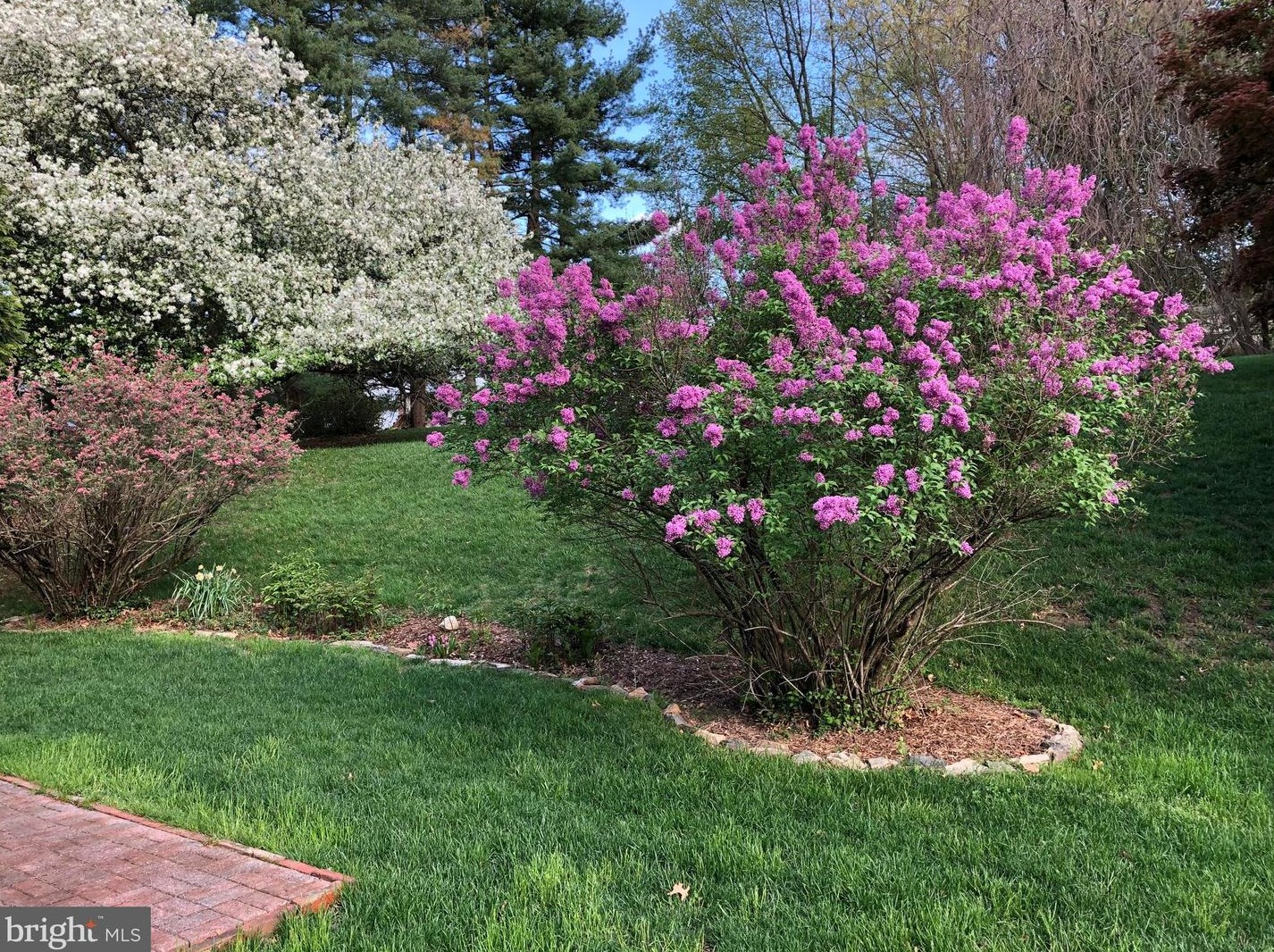 24 Scarlet Oak Dr, Miquon PA 19444-2420 exterior