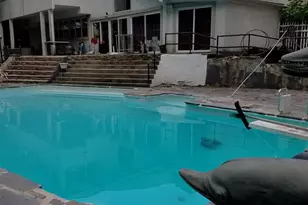 1291 Mettler Rd, Huntingdon Valley, PA 19006 - Photo 58