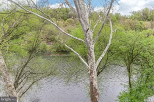 953 Riverplace Dr, Conshohocken, PA 19428 - Photo 30