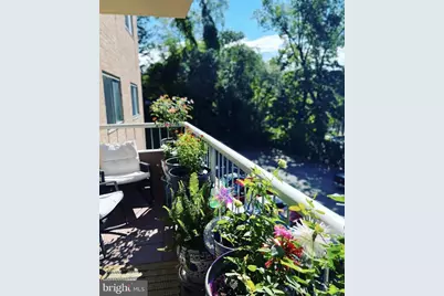 100 West Avenue #206-S, Jenkintown, PA 19046 - Photo 34