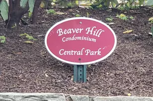 309 Florence Ave, Jenkintown, PA 19046 - Photo 28