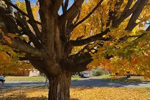 182 Summit Dr, Lewistown, PA 17044 - Photo 10