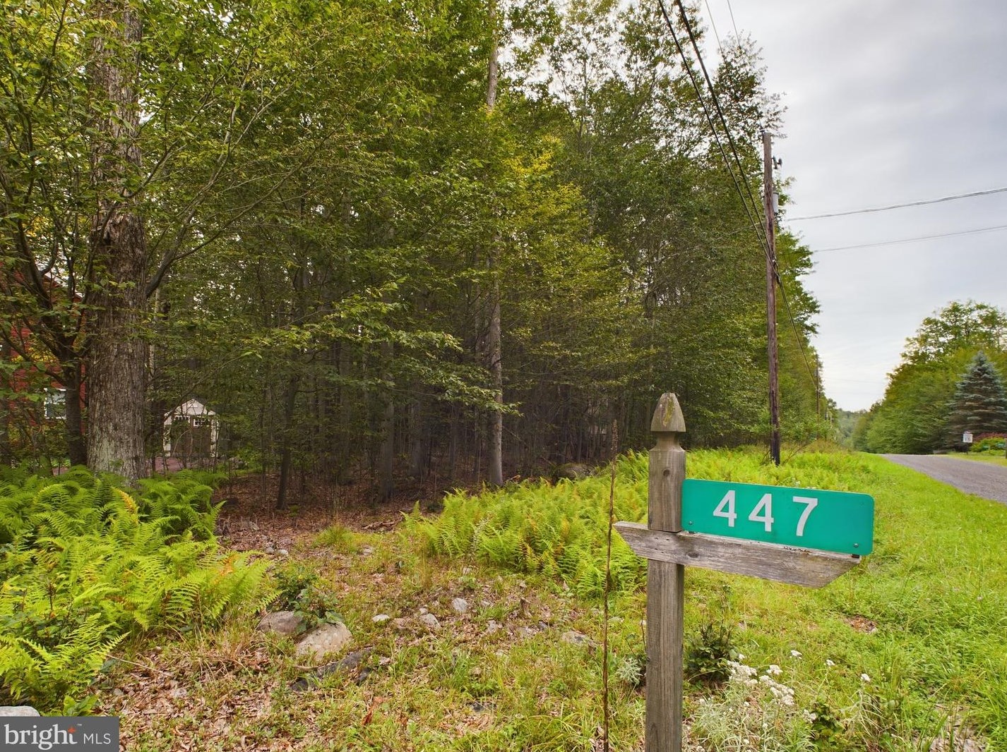 447 Maxatawny Dr, Pocono Lake, PA 18347-8032