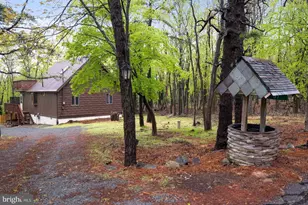 67 Tunkhannock Dr, Albrightsville, PA 18210 - Photo 38