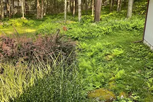 207 Pima Path, Pocono Lake, PA 18347 - Photo 4