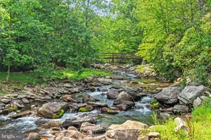 386 Camelback Rd, Tannersville, PA 18372 - Photo 4