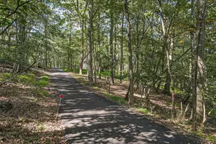 115 White Oak Ct, Tannersville, PA 18372 - Photo 42