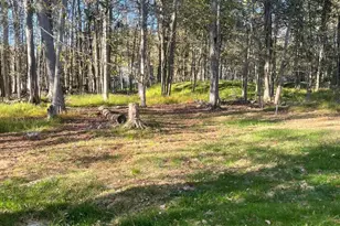 5116 Iroquois St, Tobyhanna, PA 18466 - Photo 2