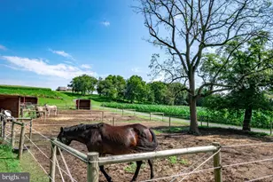 5727 Youngs Hill Rd, Easton, PA 18040 - Photo 52