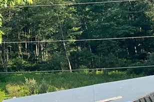 143 Starook Rd, Northumberland, PA 17857 - Photo 24