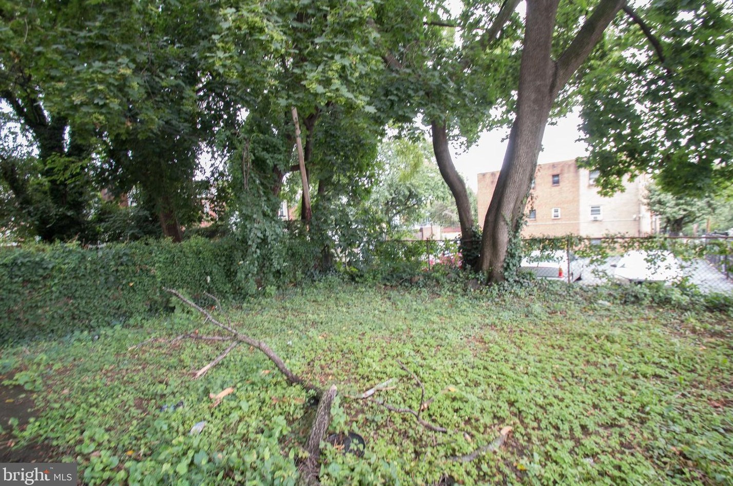 4833 Morris St, Philadelphia PA  19144-4711 exterior