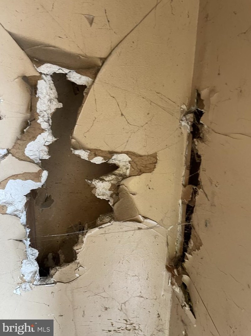 2020 Bambrey St, Philadelphia PA 19130-1808 exterior