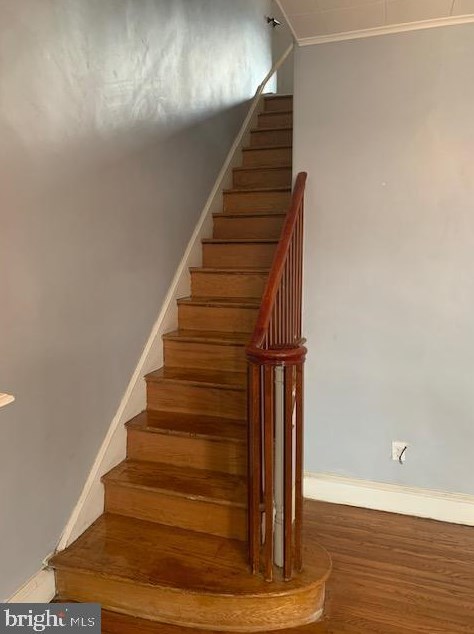 4030 Dexter St, Philadelphia PA  19128-5218 exterior